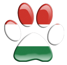 Magyar